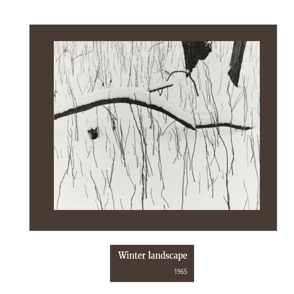 Catalogue Monograph, Spiralbound, Barbara Blondeau 1938-1974, 1976 Printing - Picture 12 of 12